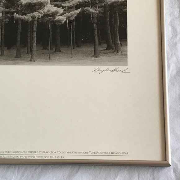 Douglas Busch Original Phograph Signed Negative Collotype Print - Picture 9 of 10
